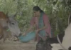 From Crop Pests to Sick Cattle: These Farmers Are Using AI To Get Answers In Their Language