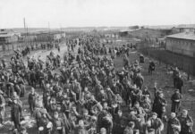 Accused Nazi POW camp guard, 105, being investigated in Germany