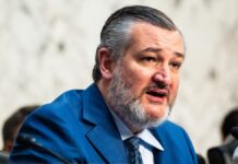Cruz says winning AI race against China is ‘single most important economic question’ for America