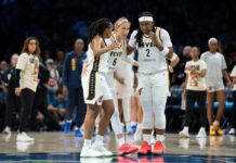 Indiana Fever veteran guard, Fishers native injured in finale vs Lynx. What we know