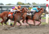 Forever Young, The Puma win big weekend horse races