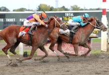 Forever Young, The Puma win big weekend horse races