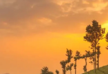 From Salt Deserts to Flower Valleys: Can You Guess These Indian States From Their Views?