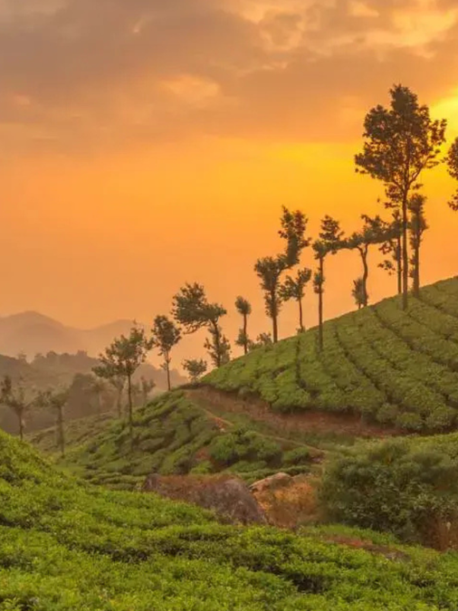 indian-landscapes-quiz-2026-09-18-14-53-34.png