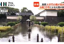 Road to Imperial Palace’s Otemon Gate Flooded by Typhoon