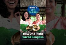 The Plant That Saved Bengal During Famine | Kochu