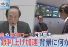 Japan’s Return to Higher Rates Squeezes Households and Firms