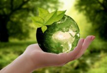 Chief Sustainability Officers Say Commercial Momentum Will Drive Climate Progress – Despite Significant Geopolitical Uncertainty