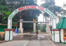 54 Rhinos Now Roam Manas, But Its Grasslands Have Shrunk: Why Saving the Land Matters