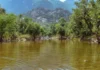 These 5 Rivers Were Nearly Dead. Communities Brought Them Back to Life