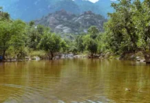 These 5 Rivers Were Nearly Dead. Communities Brought Them Back to Life