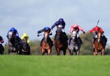 Danehill Star chases the hat-trick at Brighton