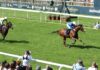 Eye Of Dubai looks to retain Ripon crown