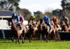 Virtual Rock looks to follow up at Fontwell
