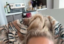 Sophie Cunningham trolls Aja Wilson over fan altercation at Fever-Aces playoff game