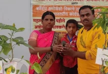 Over Half of India Faces Dry Conditions: This Beed Farmer Shares 4 Ways to Farm With Less Water