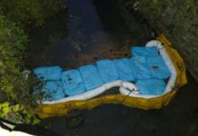 Fuel leak which killed fish in River Taff stopped