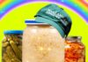Sauerkraut at Every Meal? These Fermentation Fanatics Tried That Long Before MAHA