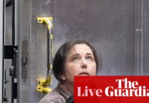 Erin Patterson appeal live updates: mushroom murderer to learn fate in retrial bid