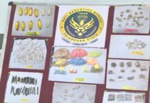 Interstate Drug Supplier Arrested in Goa