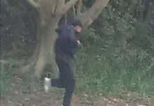 Sydney man charged after alleged gunfire prompted Dulwich Hill lockdown