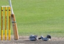 Sainath, Chandra in Indian Disabled Cricket Team