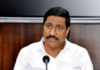 Punganur Violence Planned By Peddireddy Father-Son Duo, Alleges Minister