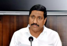 Punganur Violence Planned By Peddireddy Father-Son Duo, Alleges Minister