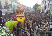 Dasara Elephant Stops Mid-Way Of Jumbo Savari Procession Rehearsal In Mysuru, Rested
