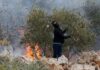 Child, four women among Palestinians injured in West Bank pogroms