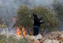 Child, four women among Palestinians injured in West Bank pogroms
