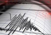 Moderate-Intensity Earthquake Hits Shimla District