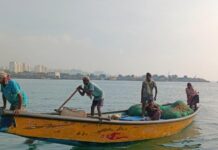 9 Indian Fishermen Arrested by Sri Lankan Navy for Alleged Poaching