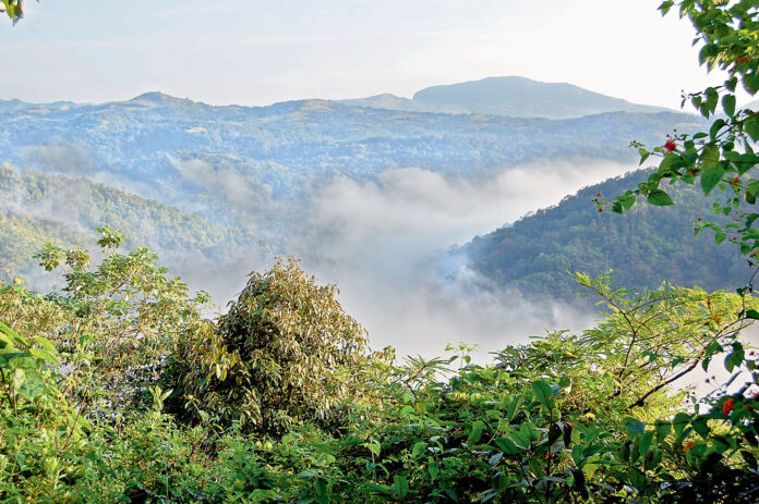 2082259-western-ghats.jpg