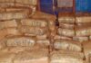 Delhi Customs Destroys 165 Kg Narcotics Worth Rs 515 Crore