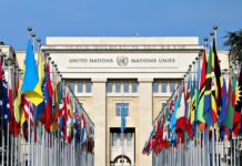 UN’s journey: From Purpose To Pageantry