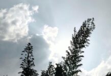 March-Like Heat to Continue Across Telangana for 1-2 Weeks