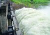 Water Levels in Nizamsagar Project Boost Paddy Cultivation