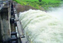 Water Levels in Nizamsagar Project Boost Paddy Cultivation
