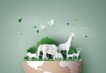 Through Their Eyes: A World Animal Day Reflection