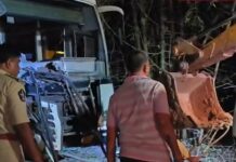 Two Dead After RTC Bus, Bolero Collide in Nallamala Forest