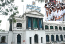 TN Nurses Halt Strike Following Govt Assurances, Set Nov 3 Deadline