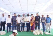 CCMB Distributes Climate-Resilient Rice Seeds To Farmers To Study Ability To Withstand Infections
