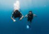 No Ocean, No Problem: Inland Divers Find Adventure In City Pools
