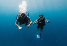 No Ocean, No Problem: Inland Divers Find Adventure In City Pools