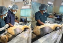 MMC Introduces Ultrasound Machine at Fathullaguda ABC Centre