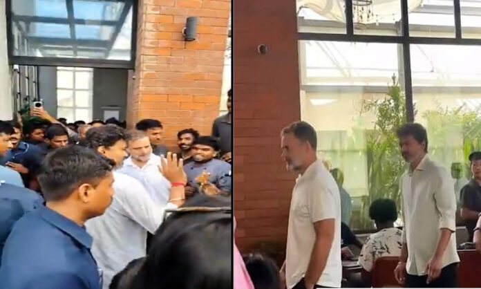 2099169-rahulgandhimeetscmvijay.jpg