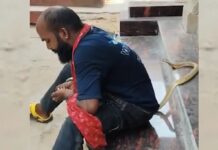 Reel With Snake Turns Fatal, Man Dies of Snakebite in Odisha’s Puri