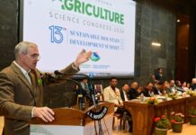 J&K Set To Lead Nation With First Mountain Development Policy: Omar Abdullah