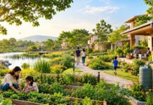 Beyond the Four Walls: What Are We Really Building When We Build a Home